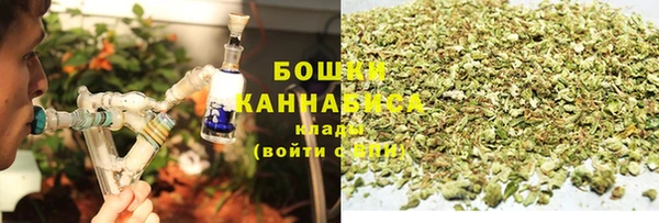 дживик Пересвет