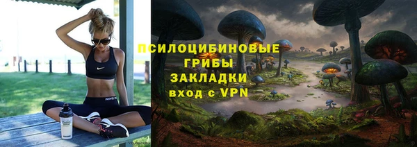 метамфетамин Алексин